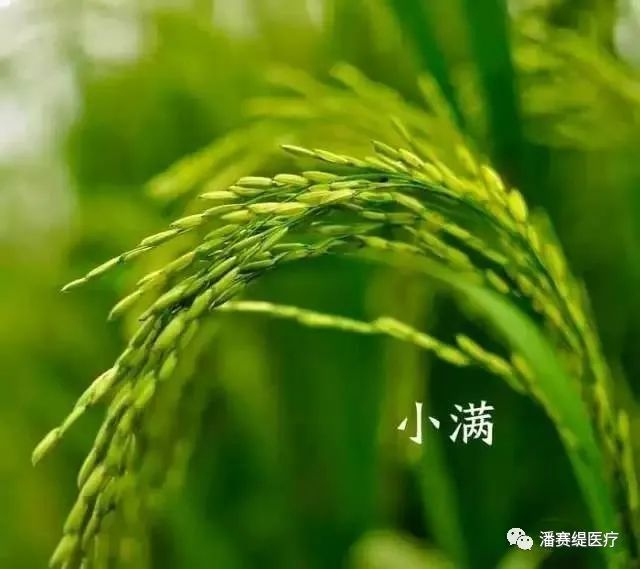 2020520 小满(图1)
